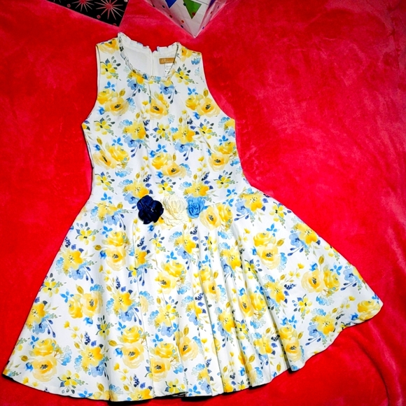 Peppermint Dress SIZE: 10 - Picture 1 of 6